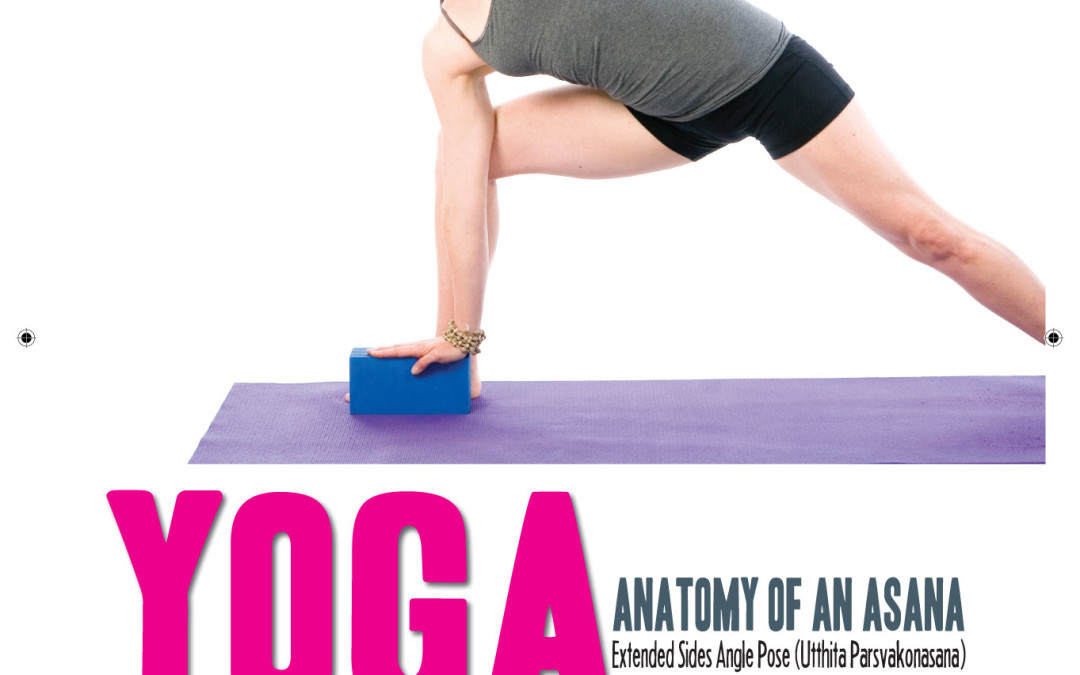 Yoga Anatomy of an Asana – Extended Side Angle Pose