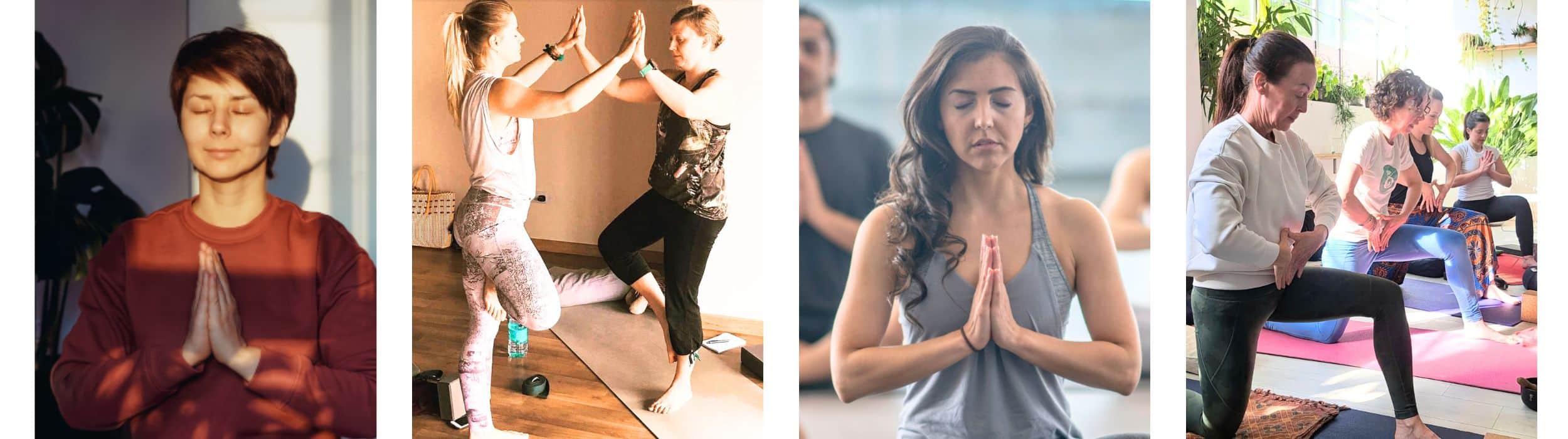 Copy of Copy of Copy of MYTT banner (2)